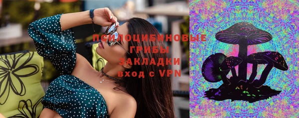 spice Армянск